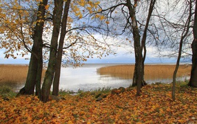 	  Autumn at the lake
