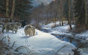 Волки на весеннем ручье в лесу