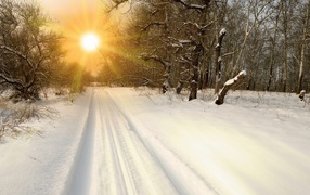 Закат на зимней дороге