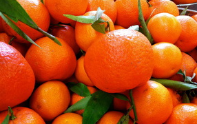 The smell of tangerines in the New Year 2015