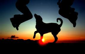 Танец на закате с собакой