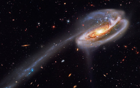 	   The tadpole galaxy