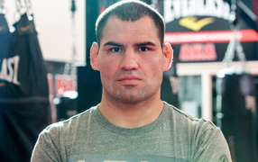 UFC Боец Джуниор Дос Сантос