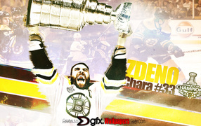 Best Hockey player Zdeno Chara