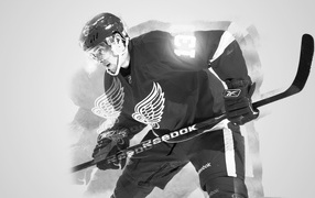NHL player Pavel Datsyuk