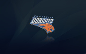 Логотип клуба НБА