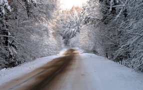 	 The road in the snow-covered winter forest