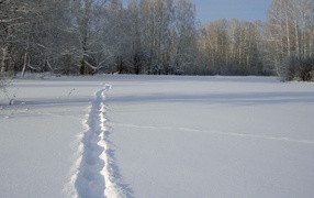 	  A path in the snow