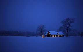 	   Blue winter nights