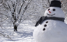 	   Snowman with hat and scarf