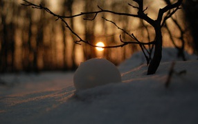 	   Snowy landscape with the sun