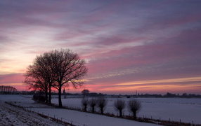 	   Sunset at the winter field