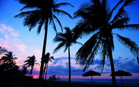 Пальмы на фоне заката на курорте Гуардалавака, Куба