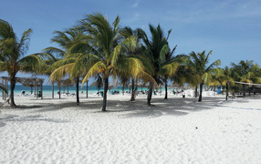 Пальмы на пляже на курорте Кайо Коко, Куба