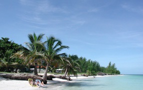 Отдых под пальмой на пляже на курорте Кайо Коко, Куба