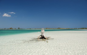 Корень дерева на пляже на курорте Кайо Ларго, Куба