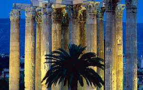 Пальма на фоне колонн в Афинах