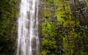 Красивый водопад Ваймоку на острове Мауи, Гавайи