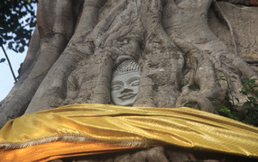 Buddha's face at the resort Lopburi, Thailand