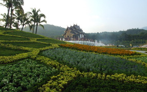 Garden in the resort of Chiang Mai, Thailand