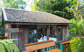 Гостиница в джунглях на курорте Чианг Рай, Таиланд