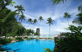 Pool surrounded by palm trees in Phuket, Thailand