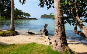 Деревья на пляже на курорте Районг, Таиланд
