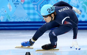 Спортсмен входит в поворот на соревнованиях по скоростному бегу на коньках на Олимпиаде в Сочи