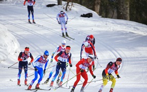 Соревнования по лыжным гонкам на Олимпиаде в Сочи