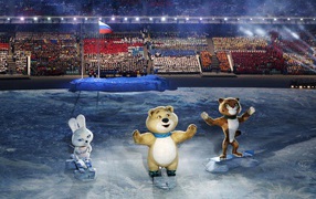 Olympic symbols in a stadium at the opening of the Olympic Games in Sochi