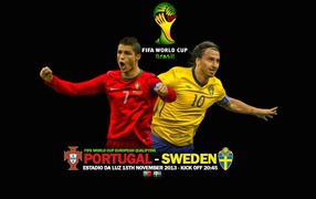 Portugal Sweden match at the World Cup in Brazil 2014