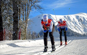Лыжники в Сочи 2014