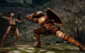 The battle in the game Dark souls 2