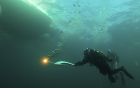 Подводная часть эстафеты Олимпийского огня Олимпиады в Сочи 2014