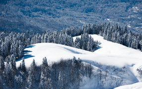 Зимний пейзаж в Сочи 2014