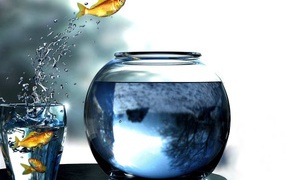 Рыбы прыгают из стакана в аквариум