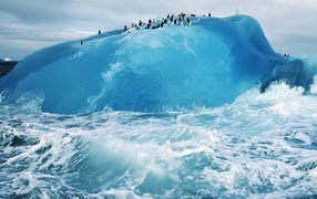 Penguins on blue ice iceberg