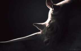 Носорог, черный фон