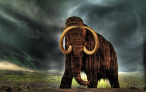  Shaggy Mammoth against the sky