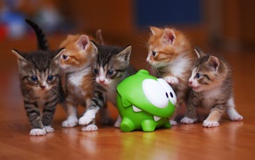 Five kittens with toy