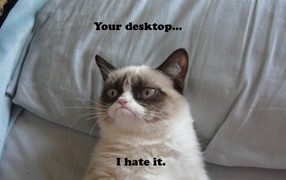 I hate your desktop