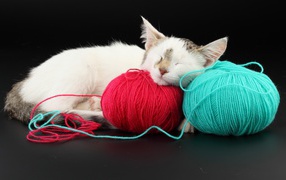 Kitten sleeps on the balls of wool