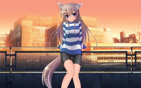 Girl cat on a background of buildings, anime