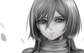 Серый рисунок девушки аниме Атака Титанов