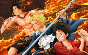 Heroes manga anime One Piece