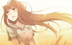 Holo anime Spice and Wolf