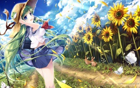 Девушка на поле подсолнухов в аниме Touhou Project