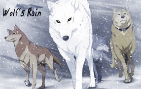 Волки в аниме Wolf's Rain