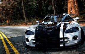 Dodge Viper on the asphalt in the forest