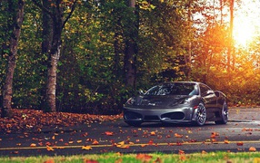 Car Ferrari F430 in the autumn park